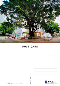 Rainbow Village Part 2: Ancient Trees - Postcards 