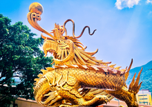 Load image into Gallery viewer, Traces of the Dragon in Hong Kong (1): Panlong Hui Rui - Postcard 