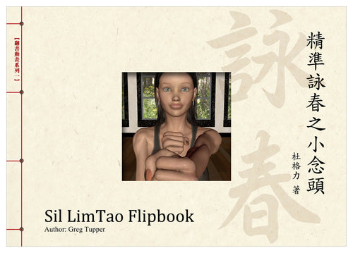 Precision Wing Chun: Little Thoughts Sil Lim Tao Flipbook 